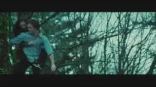 Flightless Bird, American Mouth - Iron & Wine