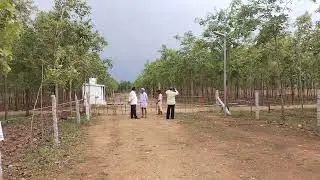 Yesterday sight Redsandal farmlands of Sai Properties and Projects LTD No 1 company 