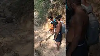 Monkey Hanuman #shorts #shortvideo #short #viral #trending #reels #ytshorts #shortsvideo #monkey #yt