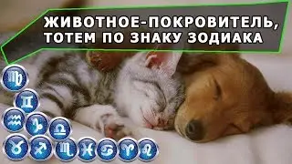 Ваше Животное-покровитель, талисман, тотем для каждого Знаку Зодиака