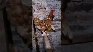 Танюха, мне скучаю