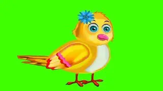 Tony bird all movement green screen@cartoon maker for kids@