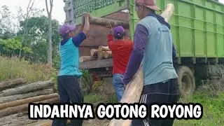 MECARI KAYU DI HUTAN BELANTARA UNTUK BAHAN PEMBUATAN SAUNG #part2