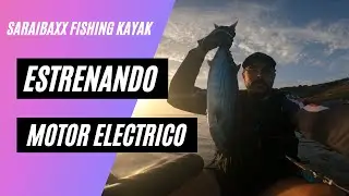 PESCANDO EN KAYAK DISFRUTANDO DE ESTA ESPECIE CASI SE ESCAPA #pescakayak #pesca #fishing #pescakayak