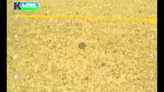 K Line AnimationClip