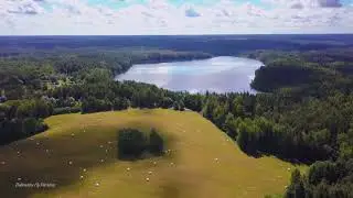 ОЗЕРО БОРОВОЕ.Витебская обл. Поставский рн. Видео Дубровский