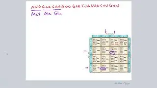 CQ#1 - Central Dogma & Mutations