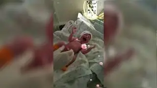 Как меняется ребенок от рождения до годика