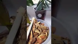 Детка на пеньке!