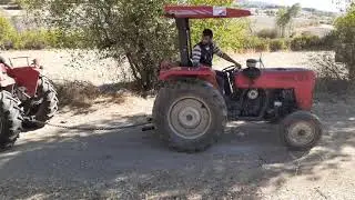 MASSEY FERGUSON 240S  V.S  HATTAT 240