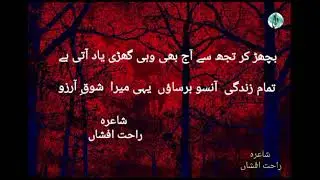 Mera shoq e arzoo.. #poetrystatus #poetryinurdu #poetryvideo #shorts