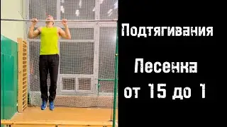 Подтягивания. Лесенка от 15 до 1