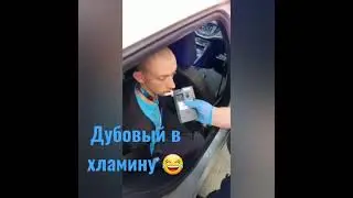 Дольнобой-#DAF# SCANIA#MAN#shorts