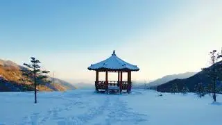 SHASA (샤사)-Awesome Love