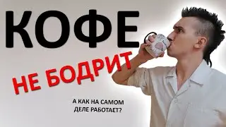 Почему кофе НЕ бодрит? Как НА САМОМ ДЕЛЕ работает кофеин. Объясняю ПРОСТЫМ языком