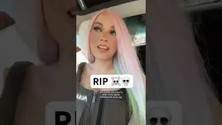 RIP piggies 🐷