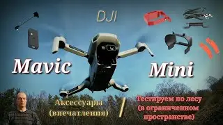 DJI Mavic Mini Аксессуары . Полёт в ограниченном пространстве (лес).