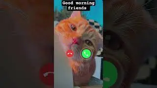 MI ringtone sound effect 