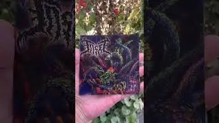 Taste - Retaliation of Discomfort Organisms 💿 Released by Bloodbath Records 🤟🏿 #cd #cds #japan