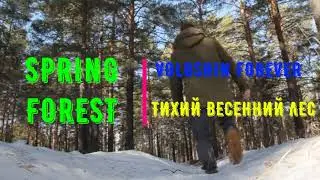 SPRING FOREST -  ТИХИЙ ВЕСЕННИЙ ЛЕС 🌄🏞️🌅💯👍...