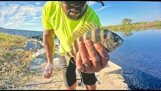Still Chasing that 20 Incher!