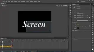 Adobe Flash Animation