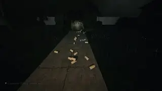 Bug in the game "escape the backrooms"