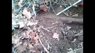 удачныи коп  по воине ноябрь 2014года