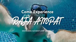 Dive Deep, Stay Cozy: Your Raja Ampat Adventure Starts Here
