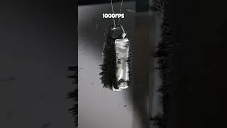 This but with a ROTATING CAMERA 