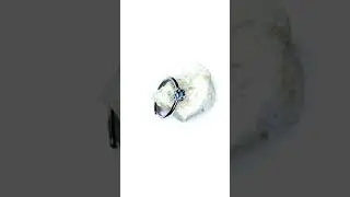 Bague argent pierre naturelle Tanzanite 0.5 carat
