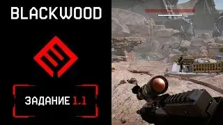 BLACKWOOD Уничтожить 50 противников из 
