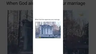 A whole life moment