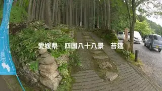 愛媛県　四国八十八景　苔筵