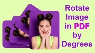 How to Rotate an Image in Your PDF File by Degrees