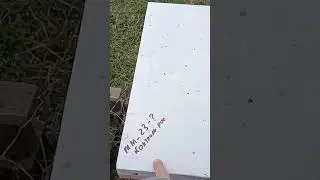 что нашел при первом осмотре пасеки