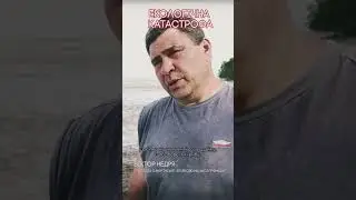 Тонни мертвої риби. Екологічна катастрофа на Дніпрі 