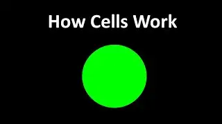 How Cells Work | in Real Life and in My Simulation - genetic AI