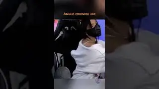 Кошка Амины Тендерлибае СПАЛИЛА НОС!