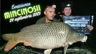 Mincinoșii - 24 septembrie 2023