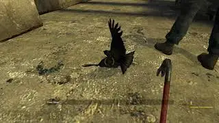 The goofy bird