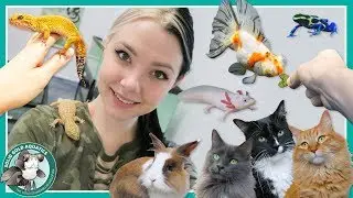 Feeding All My Pets! // VLOGMAS DAY 8