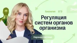 ЭТО БУДЕТ НА ЕГЭ: РЕГУЛЯЦИЯ СИСТЕМ ОРГАНОВ ОРГАНИЗМА