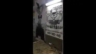 Наводки от вольтметра! Неожиданно?