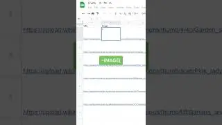 How to import images from URLs into Google Sheets