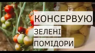Зелені помідори на зиму #помідори