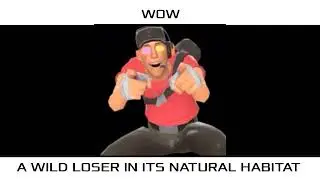 Basically [A scout NYCTBA]