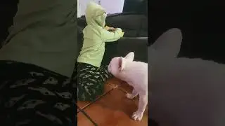 Mi mejor amigo dudú cuando come pan