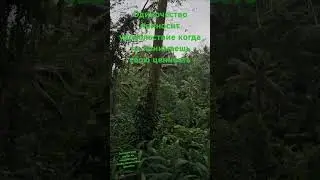 Человек не может понять, почему ему плохо, потому что он живёт без искренней ценности в своей жизни