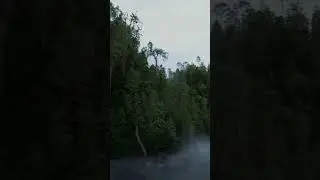 Forest animation made with cinema4d and octane